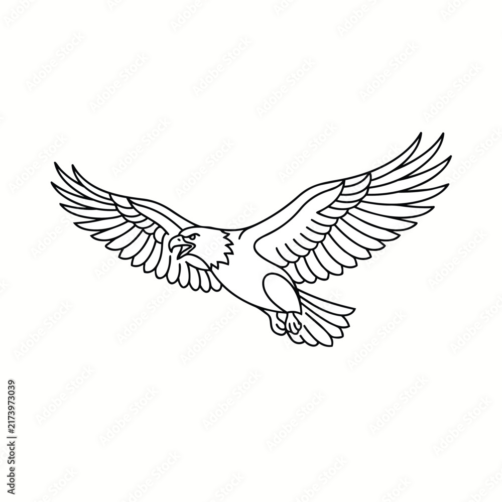 Fototapeta premium Eagle in Flight with Spread Wings