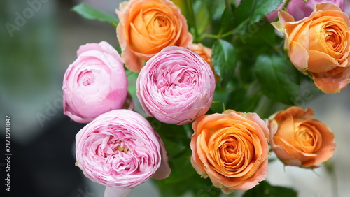 Pink and Orange Roses
