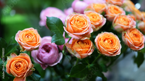 Pink and Orange Roses