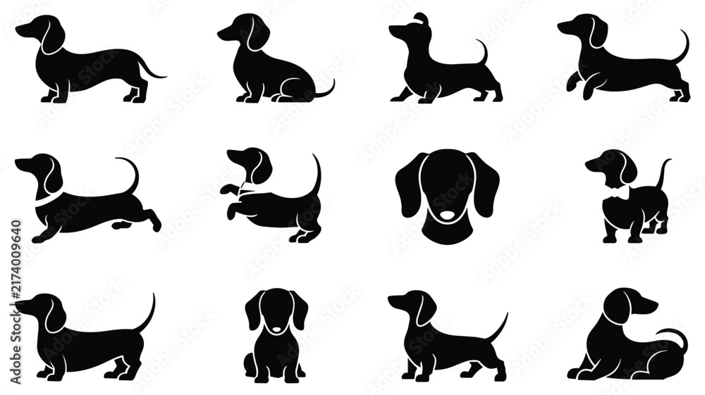 Obraz premium Set of black silhouette icons of dachshund dogs in various poses including sitting, standing, running, and jumping on a white background