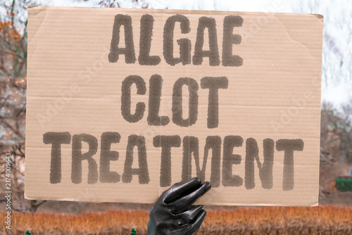 Bild auf Leinwand "Algae clot treatment" Magnetic algae bots dissolve vascular clots