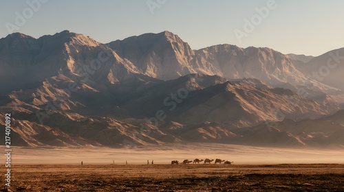 Obraz na płótnie Camel caravan walking across dry desert plain beneath massive towering rocky mountain range