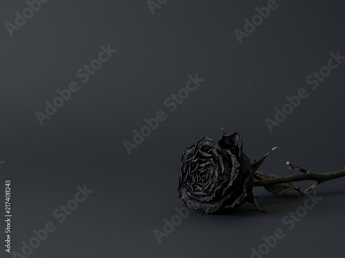 Single withered black rose lying on a dark gray surface with copy space