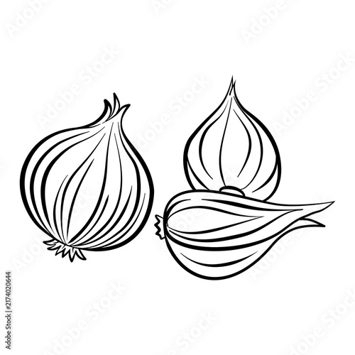 Hand drawn black and white line art onion for coloring book or page