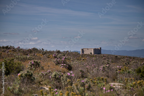Salses-le-château fortress standing on a field with wild flowers