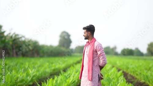 Young indian farmer analyse at green turmeric crop at agriculture field 