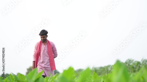 Young indian farmer analyse at green turmeric agriculture field 