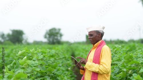 senior indian farmer using smartphone at cotton agriculture field