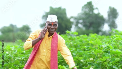 senior indian farmer talking on mobile phone at cotton agriculture field