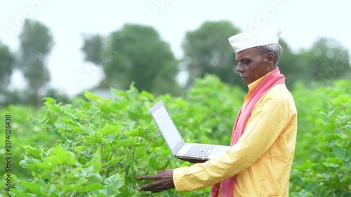 Senior indian farmer using laptop at agriculture field