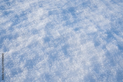 Snowy Landscape Close-Up