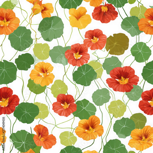 Colorful floral pattern with flowers on white background