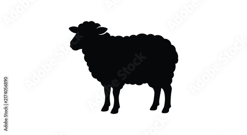 Картината върху платно A black sheep silhouette stands against a plain white background silhouette