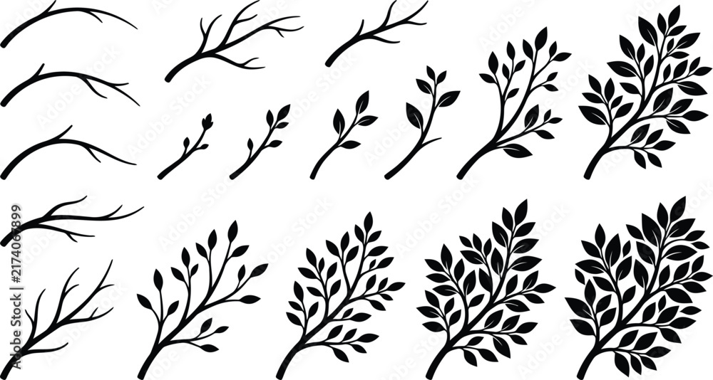 Obraz premium Set of black botanical vector illustrations of various plant branches and leaves
