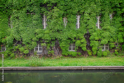 old building overgrown with green ivy close-up on the bank of the canal