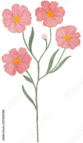 Oil Pastel Flower Clip Art