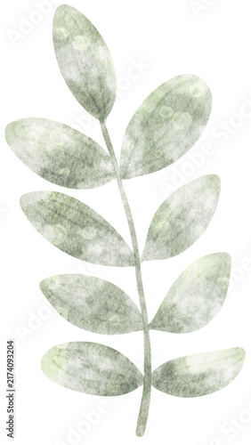 Plant Clip Art | Watercolor 