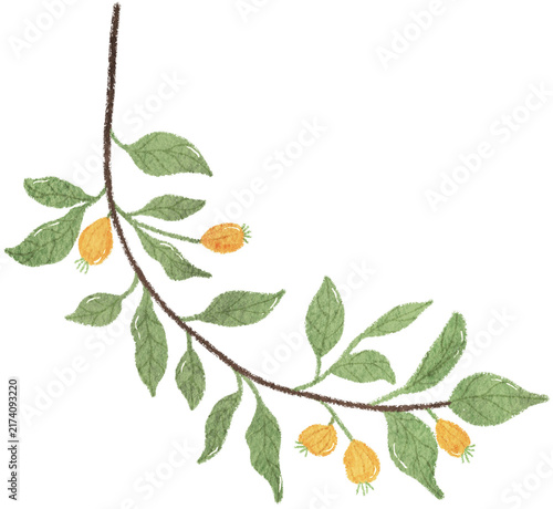 Plant Clip Art | Oil Pastel