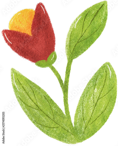 Flower Clip Art | Oil Pastel