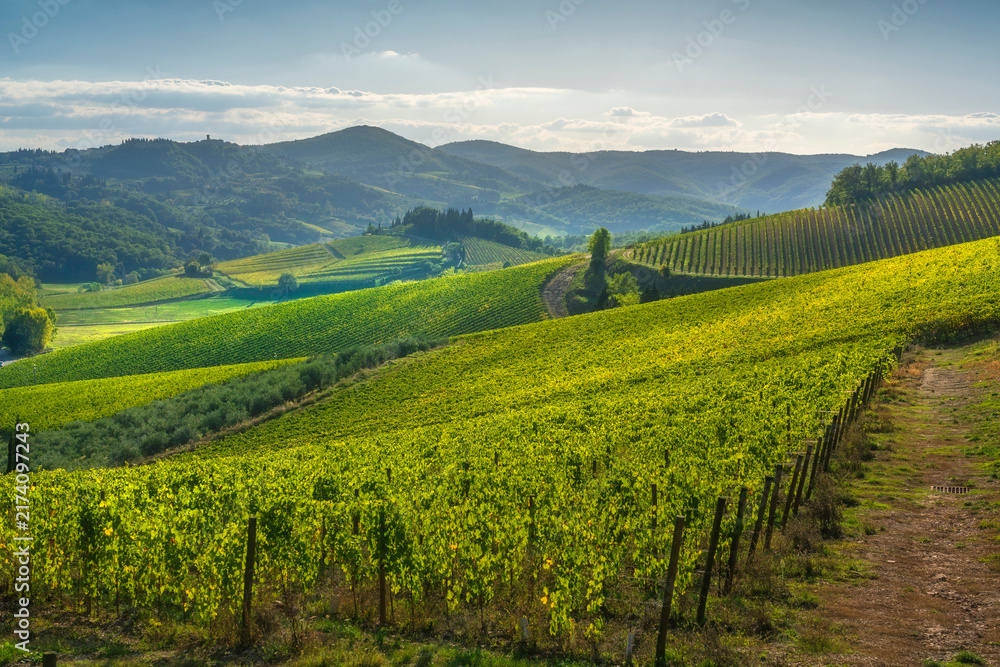 Naklejka premium Chianti Vineyards and Radda in Chianti Village View Tuscany