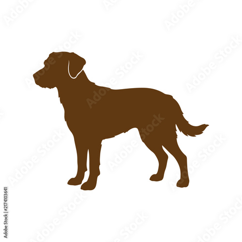 Mixed brown dog silhouette icon vector flat design.