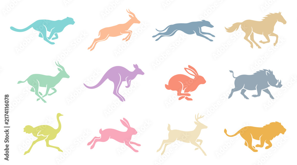 Obraz premium Colorful kangaroo and animal silhouettes running.