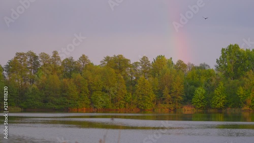 autumn landscape with lake in the morning