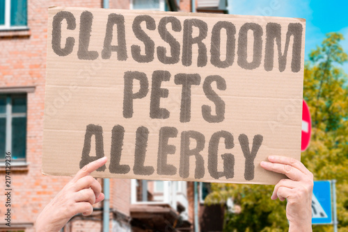 Cuadro en lienzo "Classroom pets allergy" The class pet is making kids sick