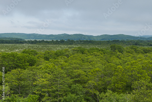 Konstfotografi 日本　北海道釧路湿原国立公園のコッタロ湿原展望台から望む釧路湿原の夏の風景