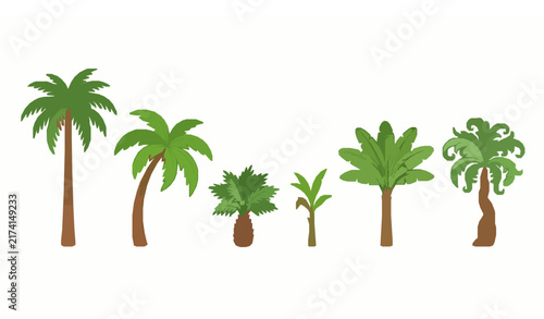 Cartoon palm tree tropical illustration set EPS vector isolated on white