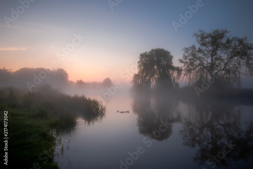 Blue dawn light and mist over a quiet river lined with trees