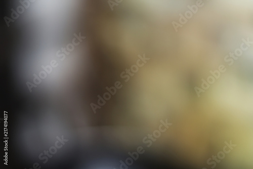 Konstfotografi Abstract blurred background with soft golden and dark neutral tones for design projects