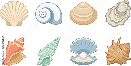 Seashell Illustration Collection with Coastal Ocean and Marine Elements