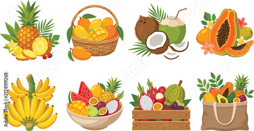 Tropical Fruit Illustration Collection with Pineapple Mango Coconut and Exotic Fruits