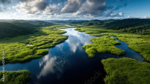 Breathtaking aerial view of a lush river winding through green landscapes, showcasing the spectacular beauty of nature with reflections that enhance the serene ambiance.