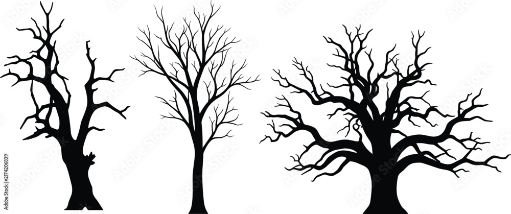 Fototapeta premium Black Leafless Tree Silhouette Collection Featuring Three Unique Bare Branching Trees on White Background