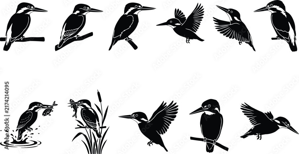 Fototapeta premium Black and white silhouettes of kingfisher birds in various poses including perching, flying, and catching fish