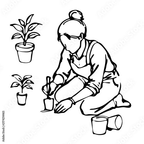 Hand drawn line art illustration of a woman planting green sprouts into pots for home gardening and botanical hobby concept.