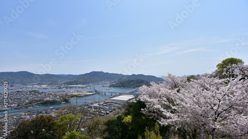 広島の市街地風景　黄金山からの眺め　桜名所　春の景色　