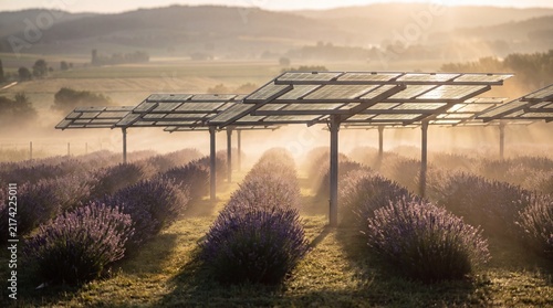 Sleek Semi-Transparent Bifacial Solar Panel Canopies For Clean Energy