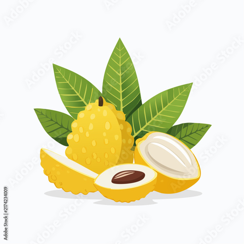 Tropical exotic yellow fruit with textured skin and open segments revealing white pulp surrounded by rich green leaves for botanical illustrations and healthy tropical diet recipe book cover designs