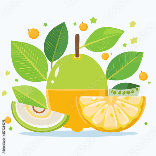 Fresh green pomelo citrus fruit vector illustration with sliced segments and vibrant tropical green leaves isolated on a clean white background for healthy market design and organic food packaging