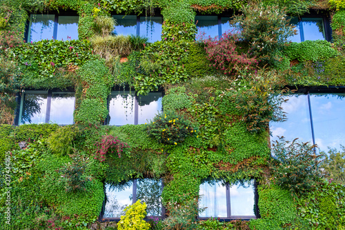 Modern Sustainable Office Building with Biophilic Design, Living Wall, Green Architecture and Eco-Friendly Workplace