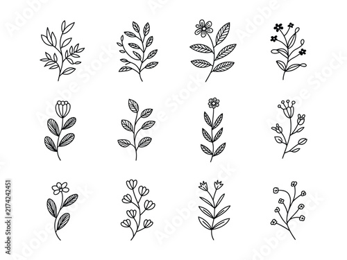 Floral ornament line border set. Hand drawn line doodle style floral divider elements. Flower, vine leaf ornament border frame text vintage flourish decoration. Vector illustration

