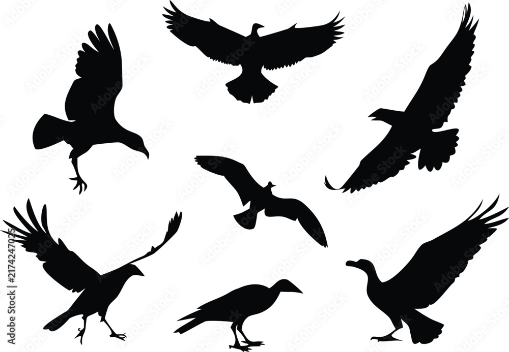 Naklejka premium Set of silhouettes of birds on a white background
