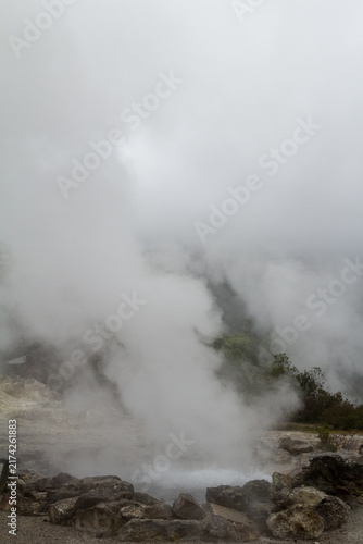 Bild auf Leinwand Close-up details of steam rising from the geothermal hot springs in Furnas Valley
