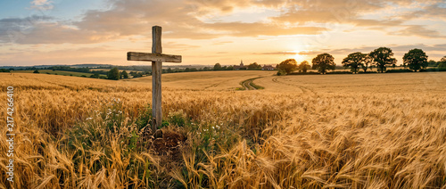 Golden wheat field glowing in clear morning light