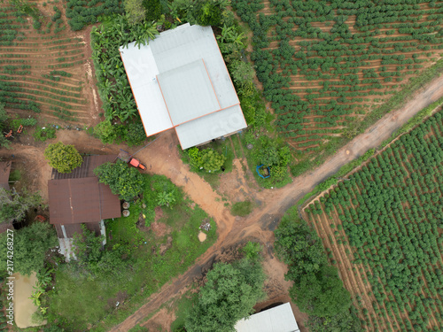 Fotografía Aerial top view of rural farmhouse surrounded by cultivated crop fields and dirt roads