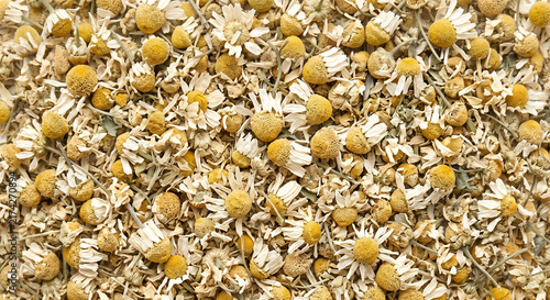 Dried chamomile flowers with individually visible flower heads