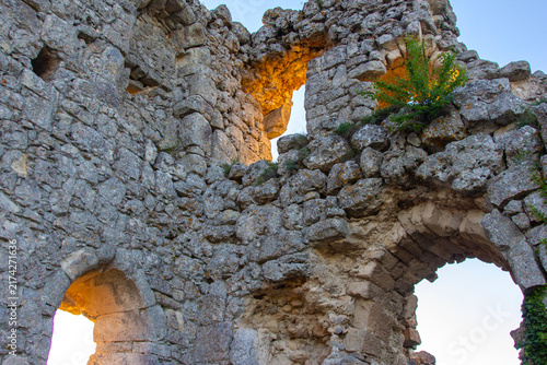 Bild auf Leinwand Old stone ruins stand against a clear sky with green plants visible in the crack